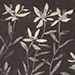 Kazuo Inoue Gallery